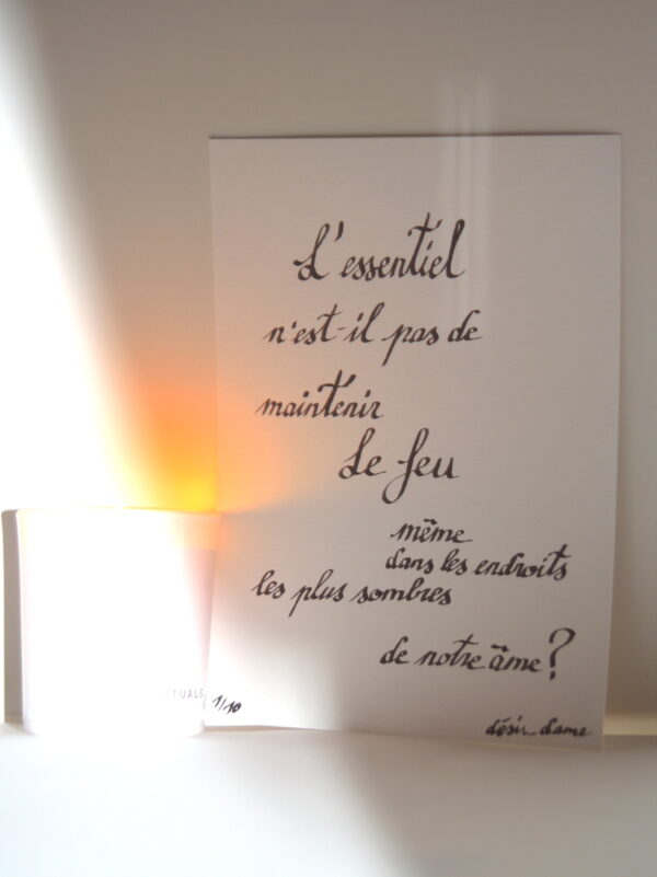 L'essentiel – Image 2